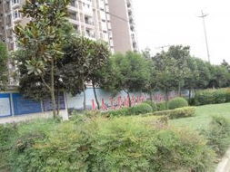 成都住宅別墅,聯(lián)體別墅二手房出售信息 城市房產(chǎn)