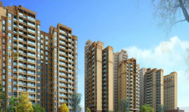 四川金雁房地產開發