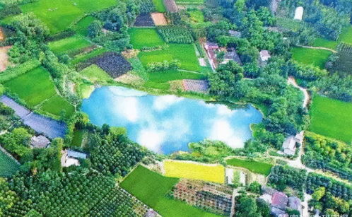 23億負債壓頂，22年老牌房企申請破產(chǎn)！阜陽房企承壓，四川地產(chǎn)亦現(xiàn)隱憂